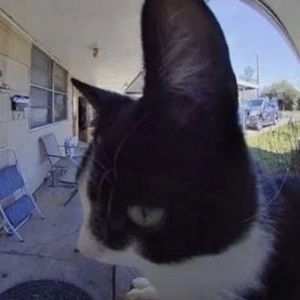 Meet your Posher, Camila